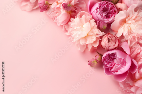 Fotografiet Peonies, roses on pink background with copy space