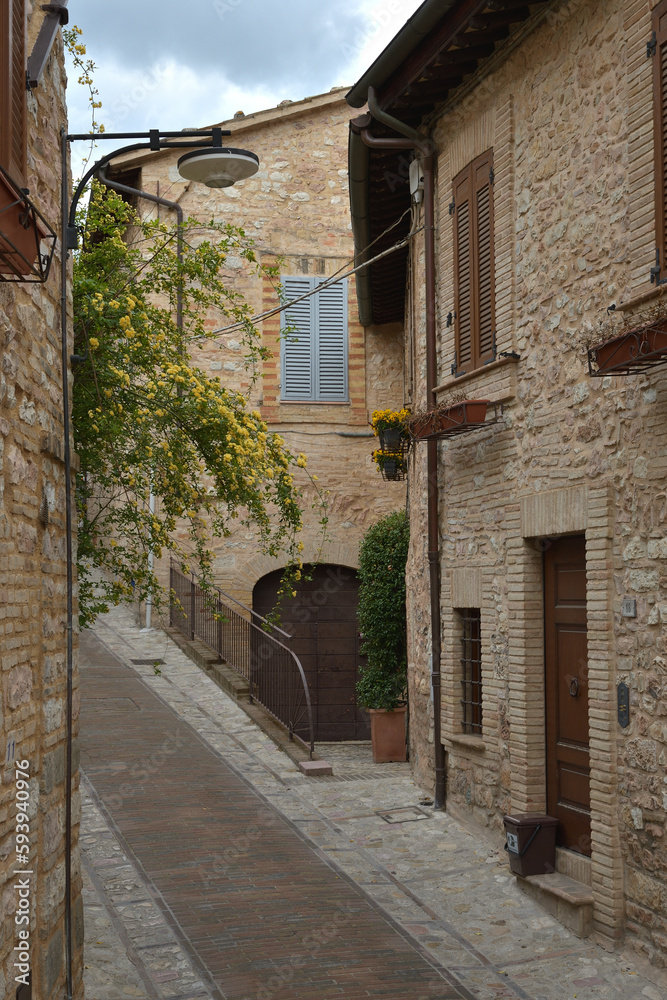 Fototapeta premium Narrow street in the small town of Spello, Umbria region, Italy
