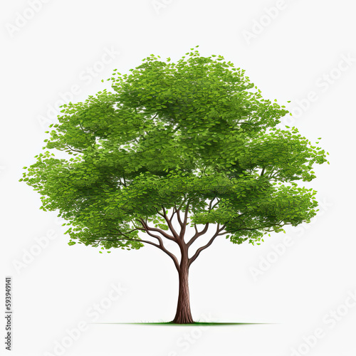 green tree isolated on white  made with AI