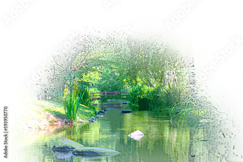 a stream through green grasses of green grass

