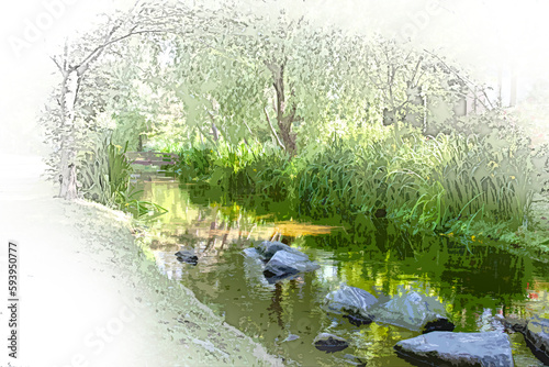 a stream through green grasses of green grass
