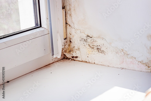 Mold on slopes near window made of metal-plastic construction. Poorly installed windows. High humidity near windows in house.