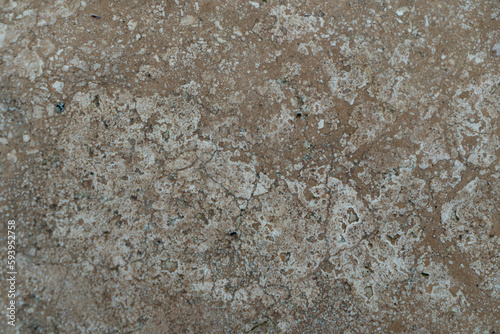 Slika na platnu Fond texture pierre de couleur blanche et beige.