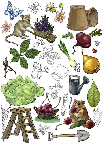 A set of illustrations on a garden theme. The mouse is harvesting. Fat funny hamster eats cherries. Colored and graphic drawings. For stickers, website design, invitation printing, clothes printing.