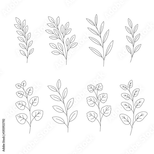 Set of different plants. Herbs. Botanical vector illustration.