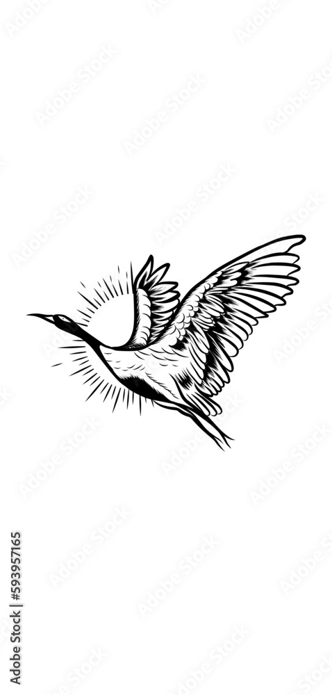 Obraz premium hand drawn sketch of a bird