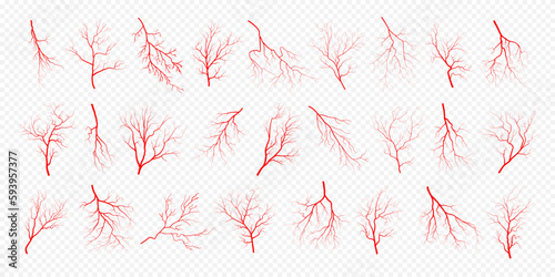 Human eye blood veins vessels silhouettes vector illustration set isolated on transparent background. Eyeballs red veins anatomical collection of human blood vessel artery health system. photo