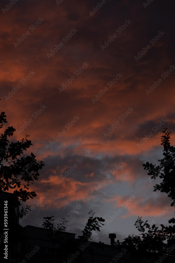 sunset in the sky sunset in the sky