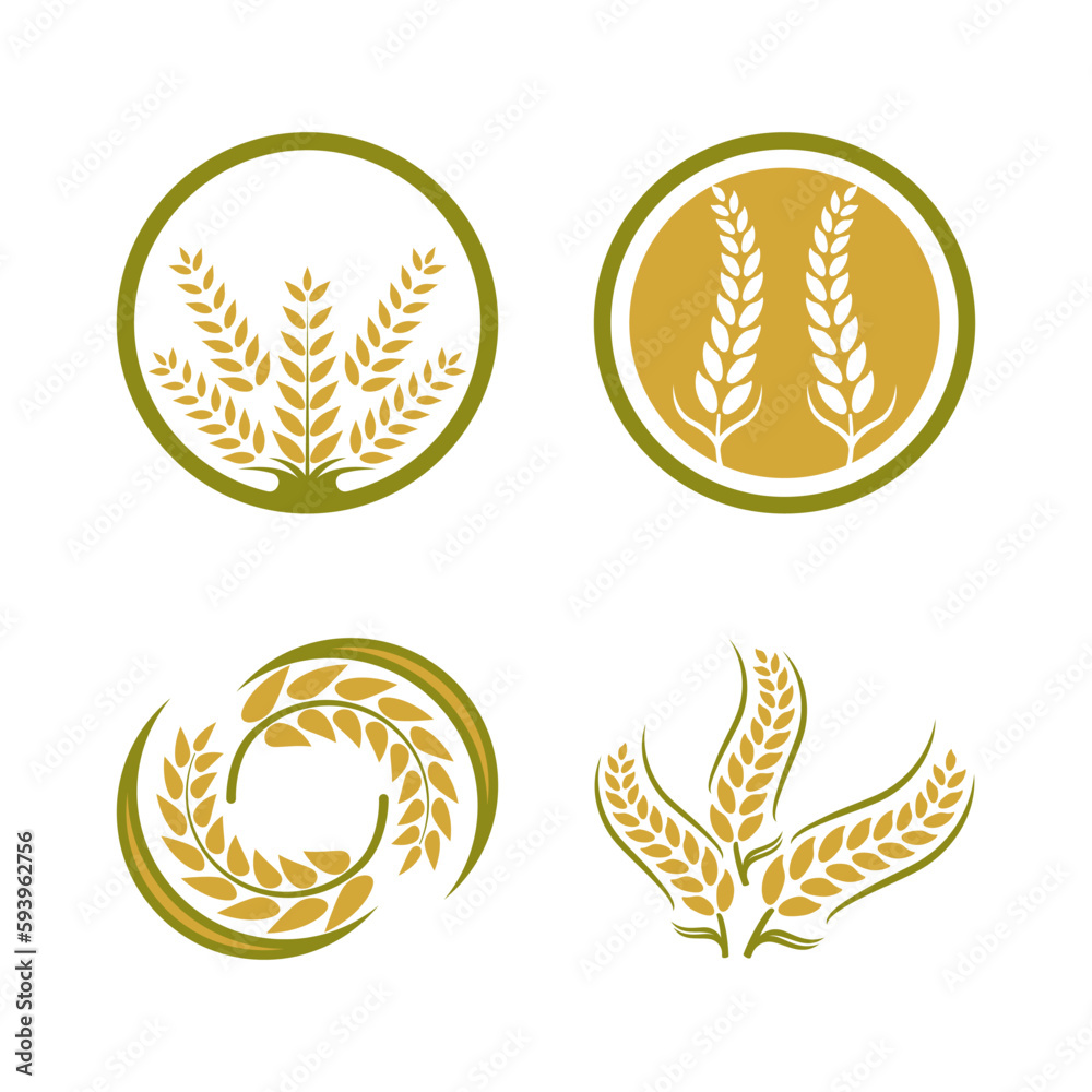 Wheat logo vector icon illustration Wheat logo vector icon illustration