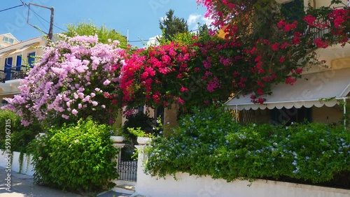 Greek house with flowers