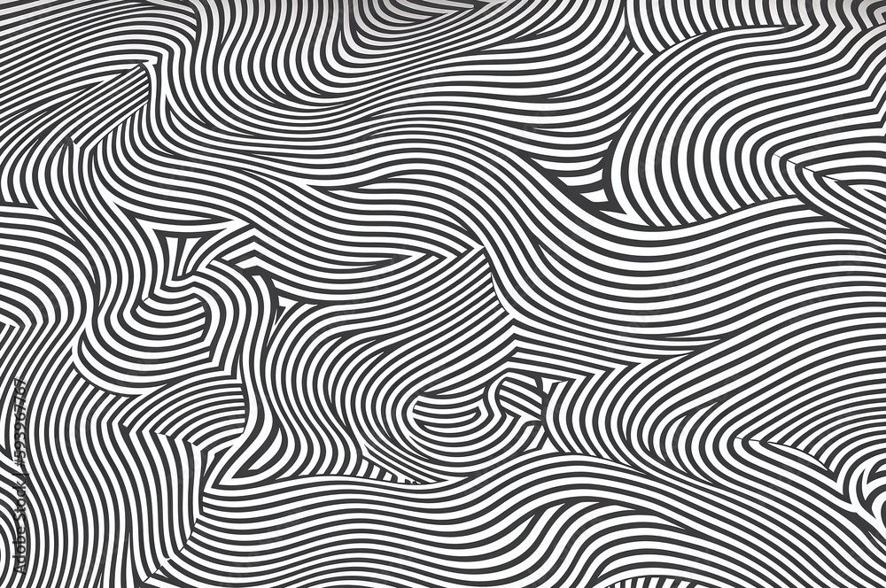 Black and white zebra pattern