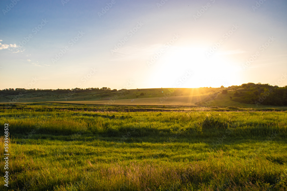 Fototapeta premium sunset over field