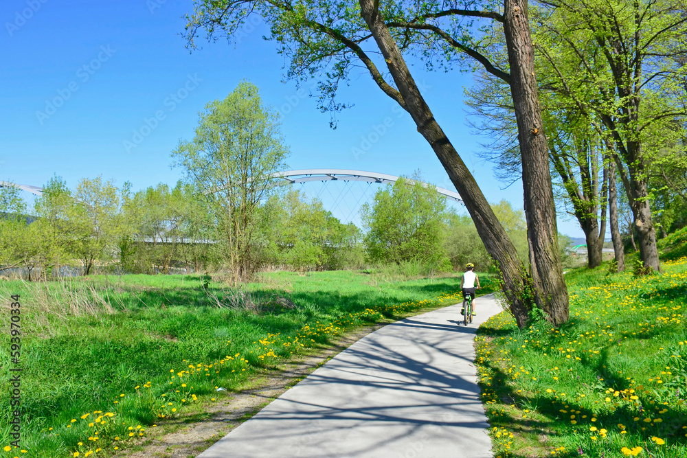 Bike ride in sunny spring day along fields and trees. An woman riding on a park road. Velo Dunajec cycling road in Nowy Sacz, Poland Bike ride in sunny spring day along fields and trees. An woman riding on a park road. Velo Dunajec cycling road in Nowy Sacz, Poland