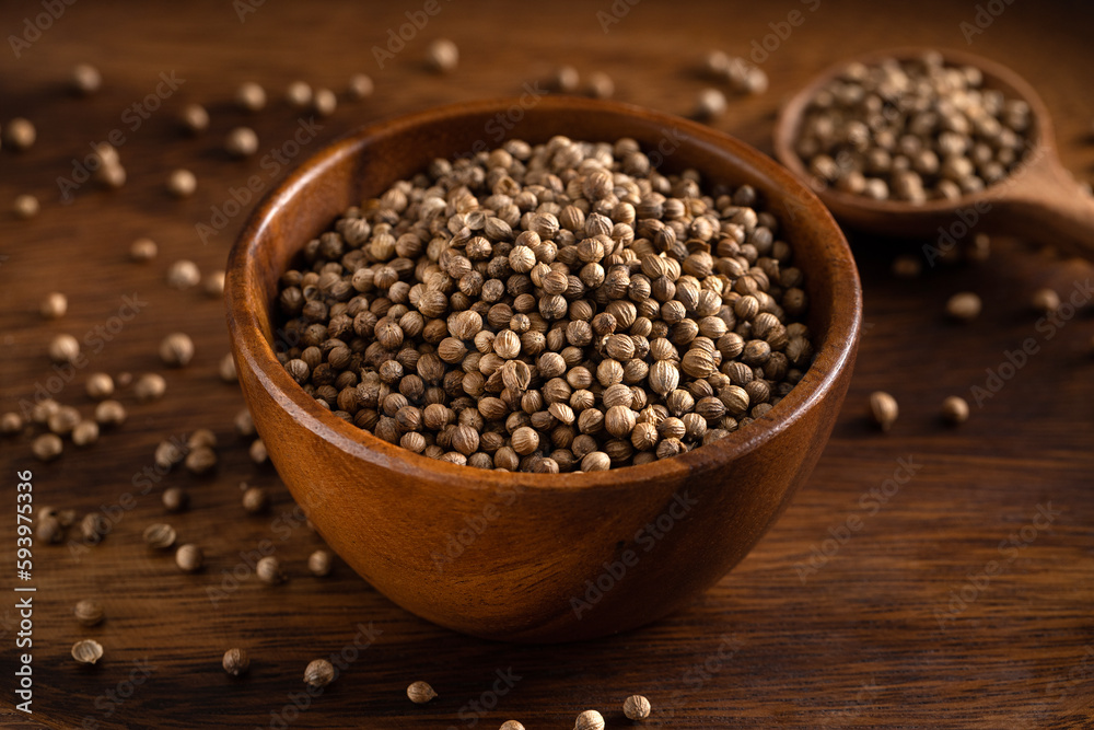 Uncooked coriander seeds bowl. Studio shoot isolated on rustic background. Coriander seeds spread on dark background. 45 degree shoot. Uncooked coriander seeds bowl. Studio shoot isolated on rustic background. Coriander seeds spread on dark background. 45 degree shoot.