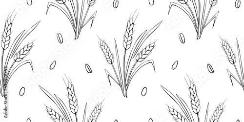 Wheat spikelets and grains, vector seamless pattern. Outline drawn in sketch style isolated. Design of print, wrapping paper, packaging on theme of bakery products, flour, harvest, thanksgiving.