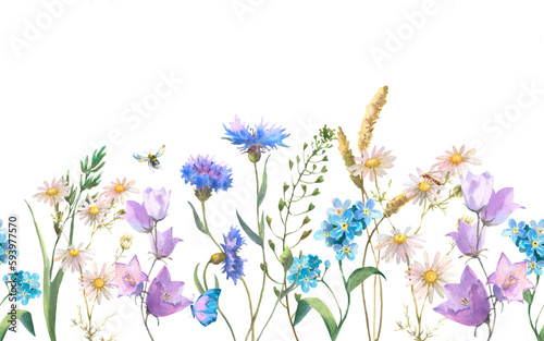 Seamless border with Herbs and wild flowers, leaves, butterflies. Botanical Illustration on white background. Template with place for text. © Brelena