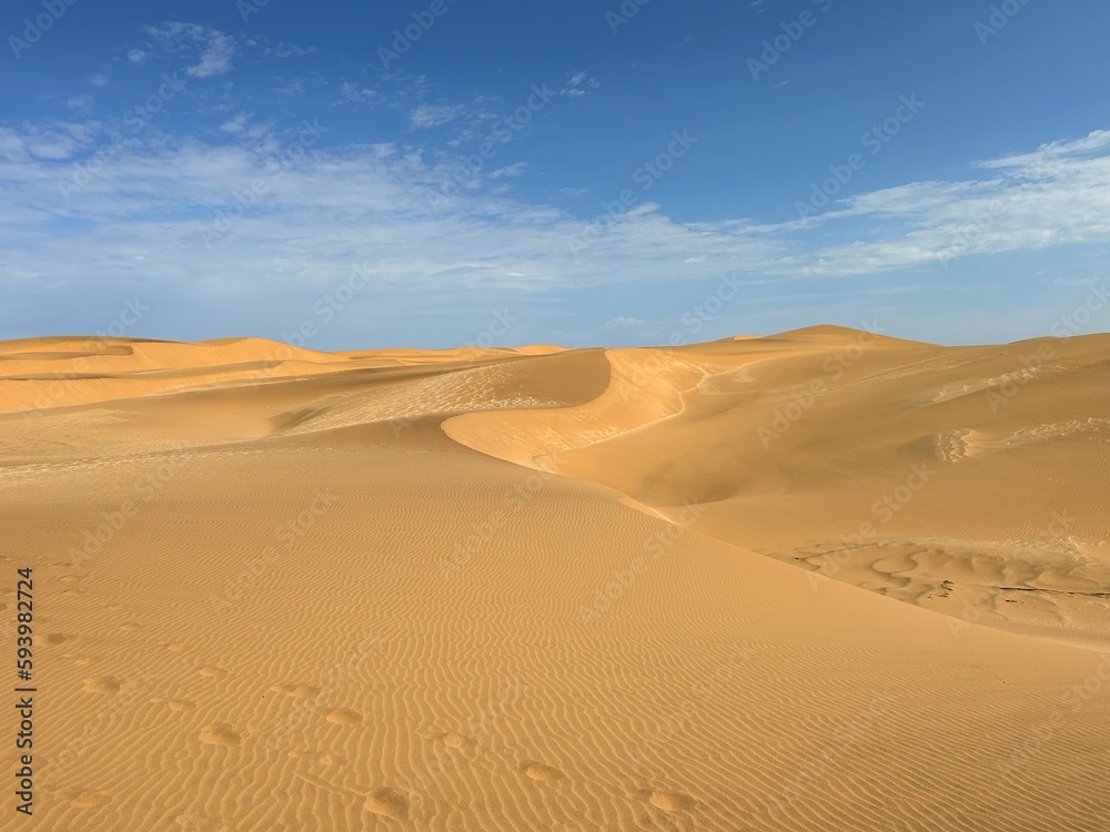 scenic view of the Namib Desert scenic view of the Namib Desert