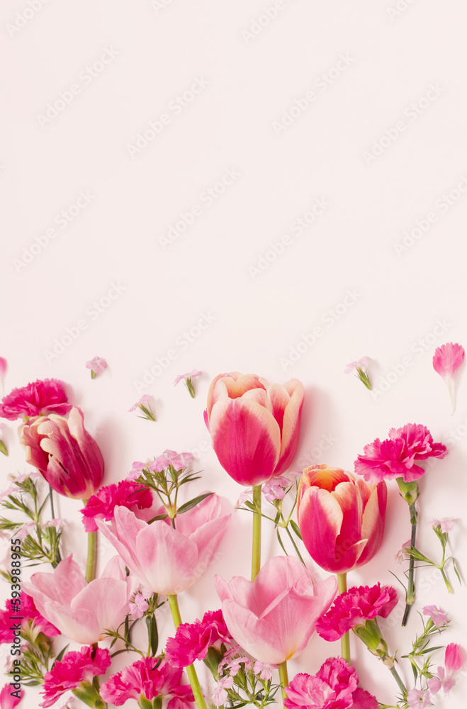 beautiful spring flowers on white  background