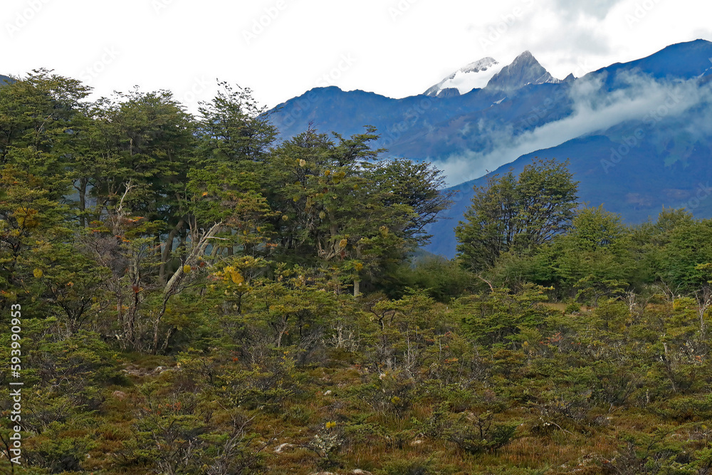 Mountains around Ushuaia