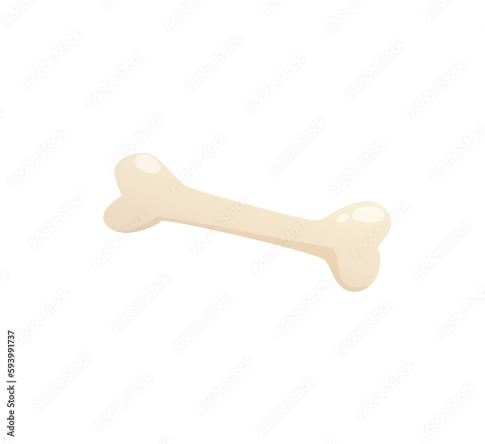 Concept Pet toy bone. This is a flat vector illustration of a cartoon pet concept, featuring a toy bone. Vector illustration. Concept Pet toy bone. This is a flat vector illustration of a cartoon pet concept, featuring a toy bone. Vector illustration.