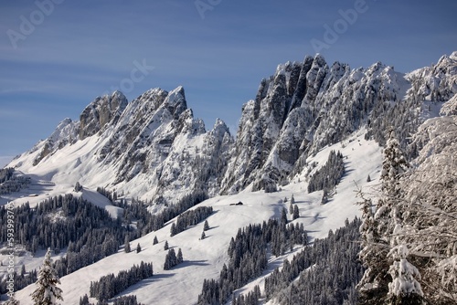 Mesmerizing view of snow covered mountains and lush trees against a stunning sky on a winter day