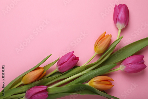 Fototapeta Naklejka Na Ścianę i Meble -  Beautiful tulips on pink background, flat lay. Space for text