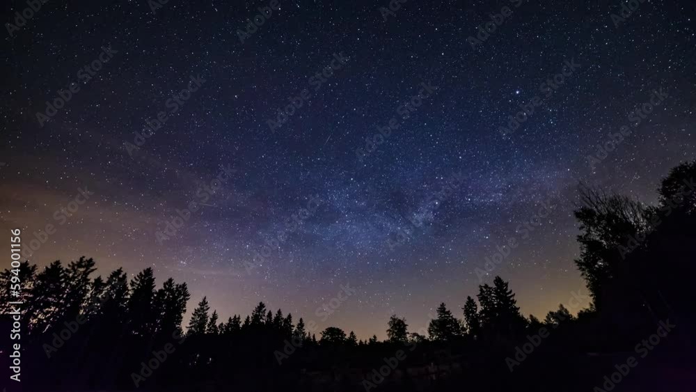 Low angle timelapse video of trees in the forest in shadow and starry sky at night