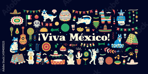 Mexican-themed design elements with lettering viva mexico.