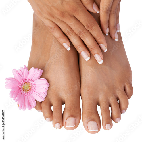 Top view of woman  manicure and pedicure of flowers  natural skincare and dermatology. Closeup beauty  feet and hands with daisy  cosmetics and healthy nails isolated on transparent png background