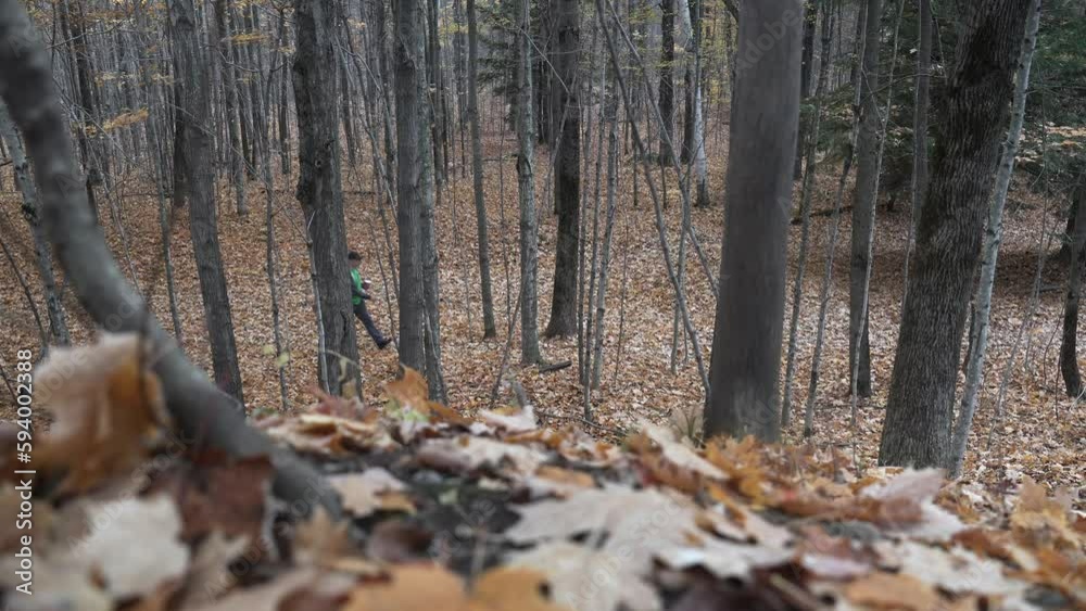 Strolling thru the forest