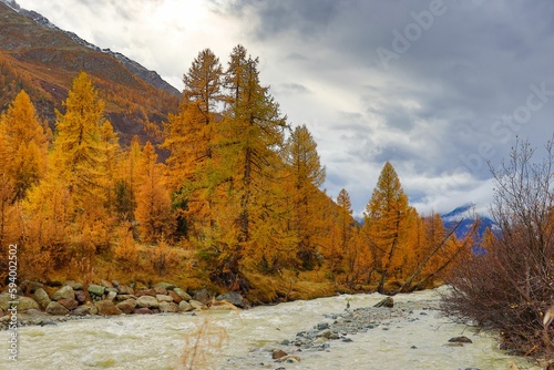 Peaceful stream winds its way through the stunning Lotschental valley in Switzerland