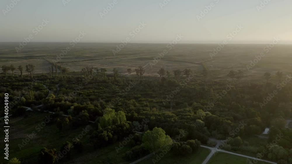 Drone view over green vegetation during sunset in Mira, Portugal Drone view over green vegetation during sunset in Mira, Portugal