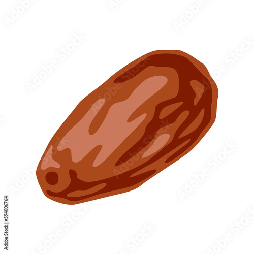 Illustration of date fruit. Tropical vegetarian food for healthy lifestyle.