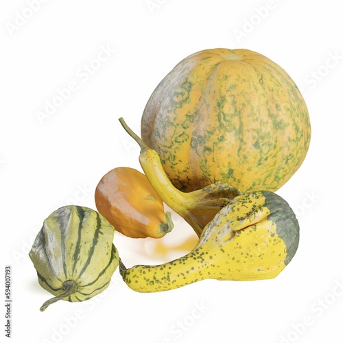 Pumpkin pieces in different forms isolated on the white background photo