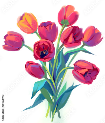Bouquet of red tulips in bloom. Hand-drawn tulips with paints. Freehand drawing with watercolor. Isolated on white background