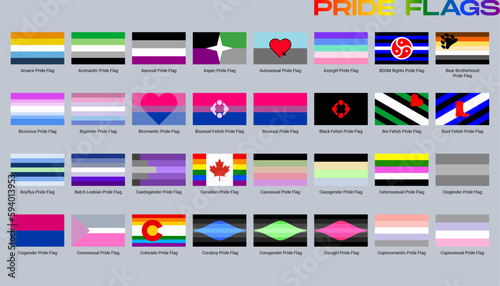 LGBT sexual identity pride flags gender collection. Flag of gay, lesbian, transgender, bisexual. Vector Illustration

