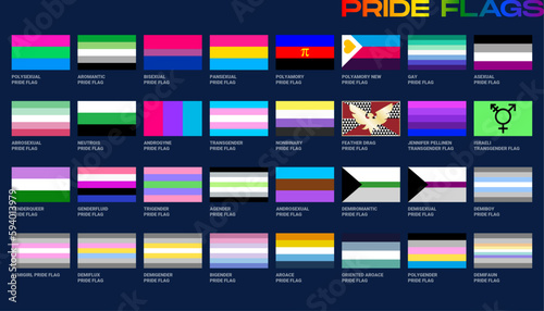 LGBT sexual identity pride flags gender collection. Flag of gay, lesbian, transgender, bisexual. Vector Illustration
