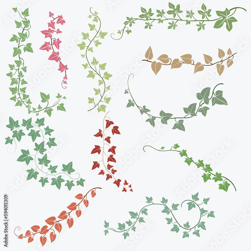 Floral ivy drawing decorative ornament flat design collection.