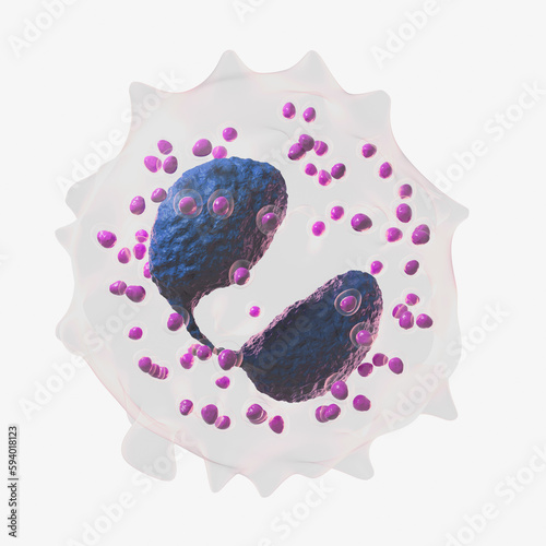 3d illustration of an eosinophil photo