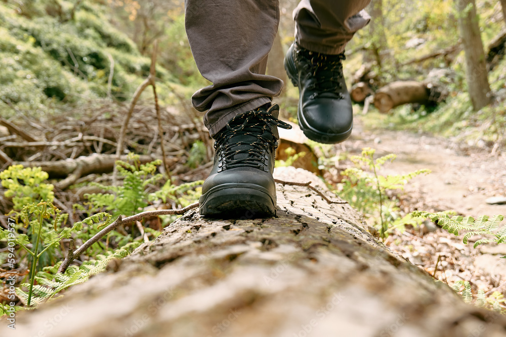 Traveler man has hiking in mountain forest. Close up of human foots in mountain shoe walking on tree log. Exercise and fitness in nature for wellness and healthy lifestyle. Traveler man has hiking in mountain forest. Close up of human foots in mountain shoe walking on tree log. Exercise and fitness in nature for wellness and healthy lifestyle.