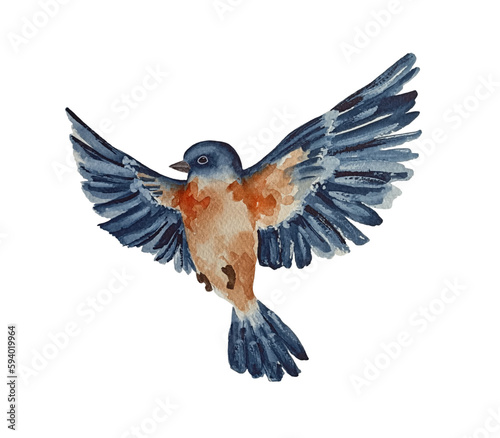 Watercolor flying blue bird isolated on white background. Cute animals and birds spring illustration.