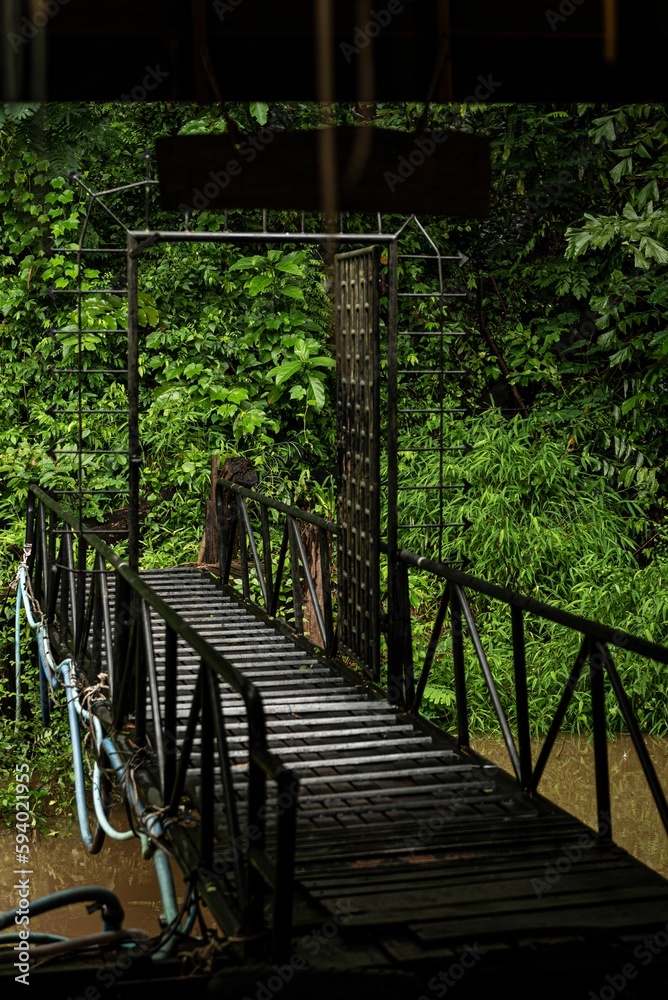 Vertical shot of an iron bridge over a muddy river surrounded by evergreen bushes in a forest