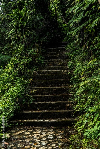 Vertical shot of a mossy concrete staircase near lush green bushes in a forest