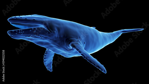 3d illustration of a humpback whale