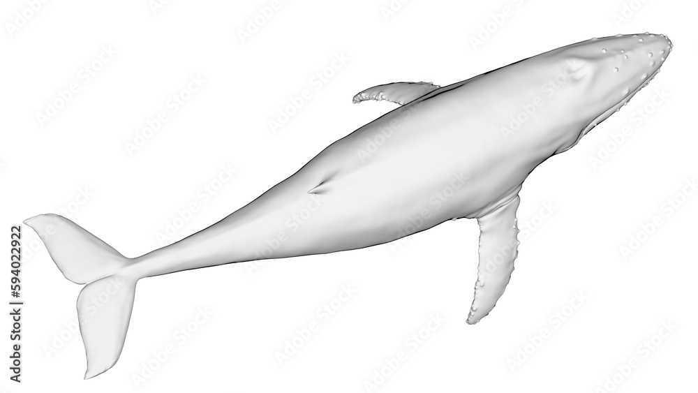 Fototapeta premium 3d illustration of a humpback whale