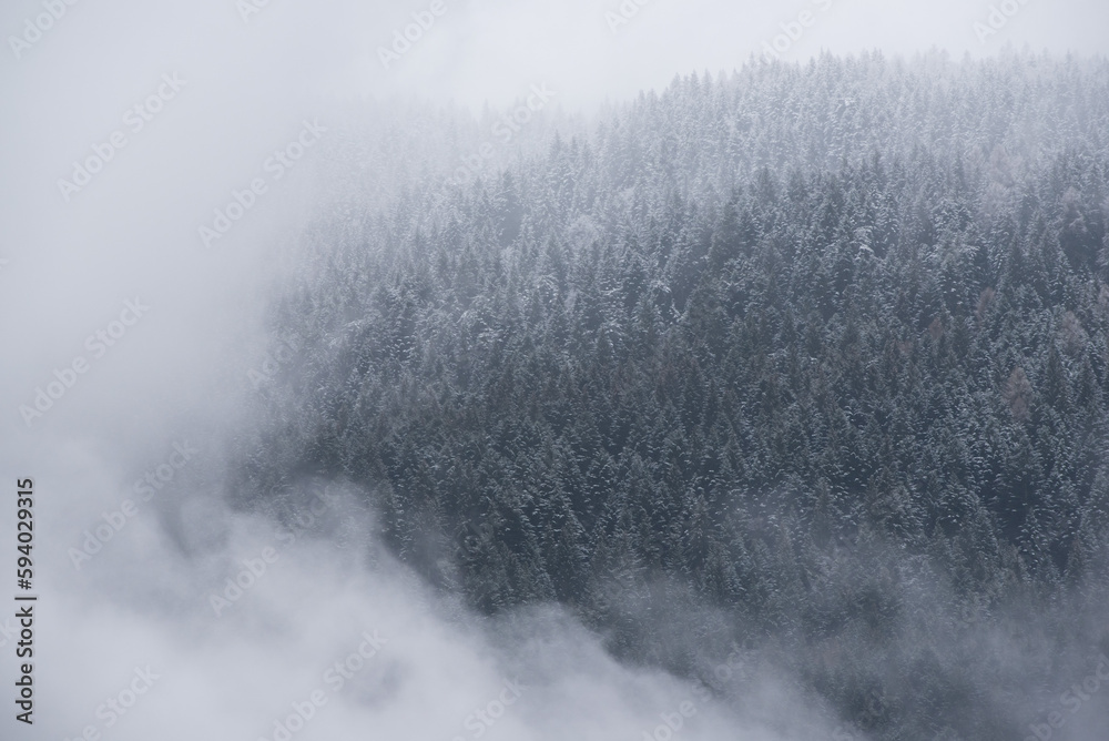 nuvole basse su un bosco di montagna, abeti e pini con nuvole sopra in un villaggio nelle Dolomiti

