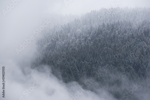 nuvole basse su un bosco di montagna, abeti e pini con nuvole sopra in un villaggio nelle Dolomiti  © giovanni