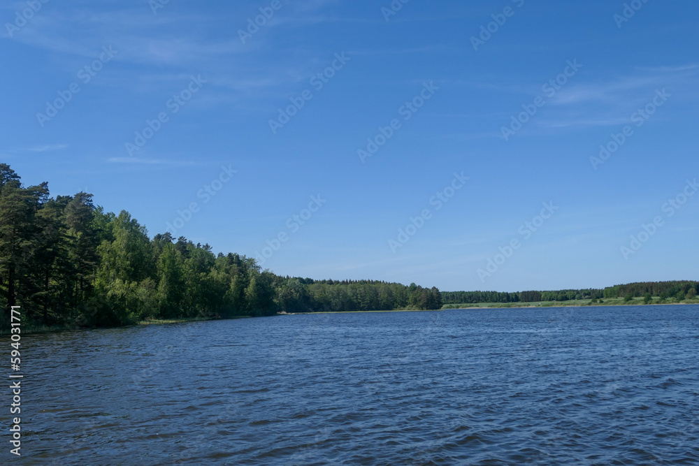 lake in the forest