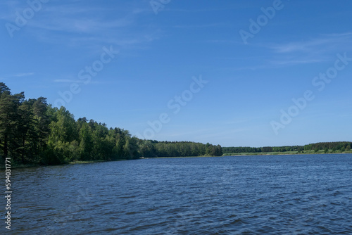 lake in the forest