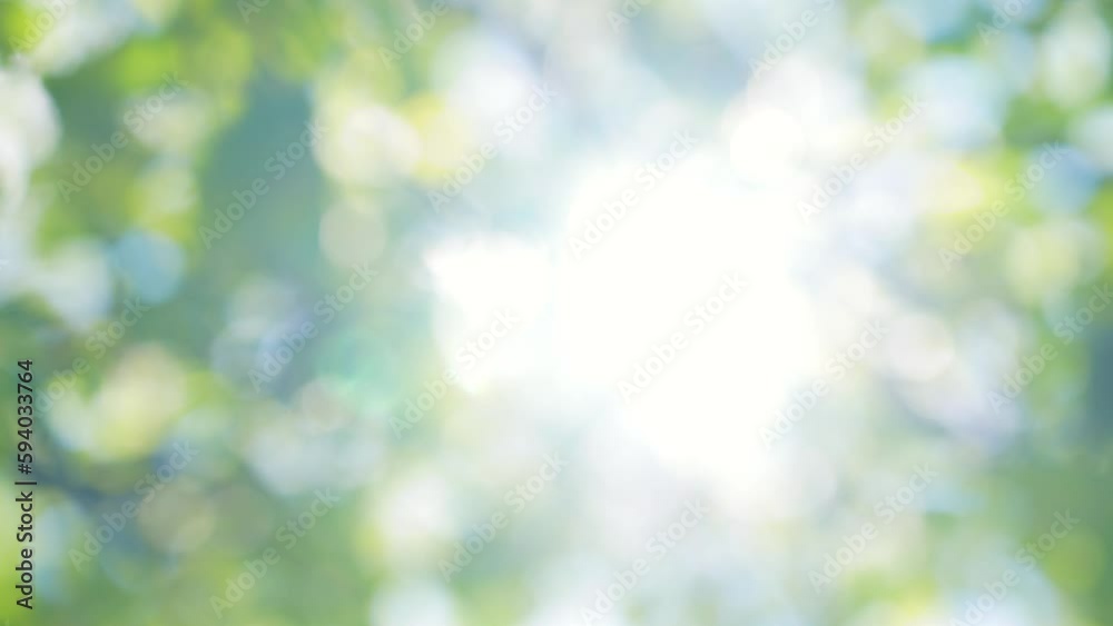 Natural blurry defocused colorful 4k video background with soft sun flares and glowing. Defocused spring or summer foliage of trees blown by wind. Branches swaying isolated on sunny blue sky backdrop